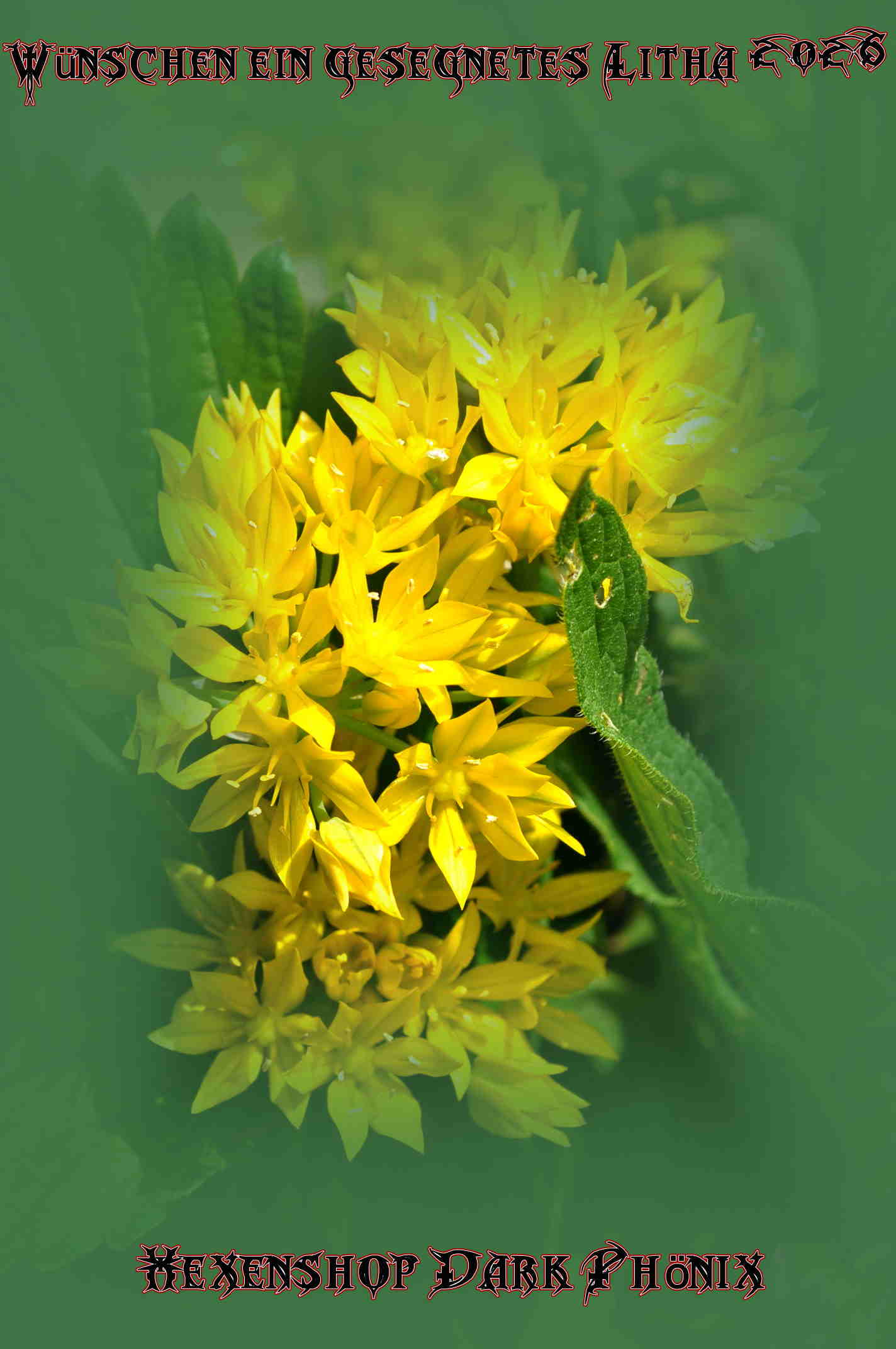 Hexenshop Dark Phönix Litha 2026 Hexenshop Dark Phönix Litha 2026 Gelbe Blumen