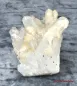 Preview: Hexenshop Dark Phönix Bergkristall Gruppe Nadelwald der Mystik 462g Stufe Unikat