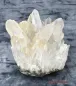 Preview: Hexenshop Dark Phönix Bergkristall Gruppe Nadelwald der Mystik 462g Stufe Unikat