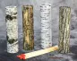 Preview: Hexenshop Dark Phönix Vier runde Packungen langer Kaminstreichhölzer vom Hexenshop Dark Phönix, verziert mit Baumrinden-Motiven von Graupappel, Moorbirke, Stieleiche und Kiefer