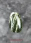 Preview: Hexenshop Dark Phönix Silberauge Drop Shape Anhänger