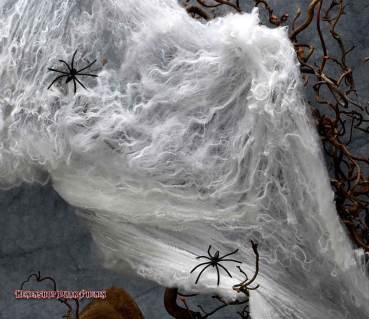 Hexenshop Dark Phönix Weißes Kleines Deko Dehnungs Spinnennetz mit zwei schwarzen Spinnen
