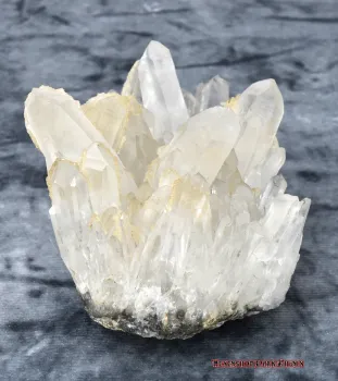 Preview: Hexenshop Dark Phönix Bergkristall Gruppe Nadelwald der Mystik 462g Stufe Unikat