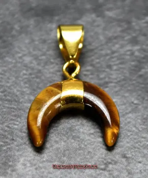 Hexenshop Dark Phönix Kleiner Tigerauge Mondanhänger Halbedelstein