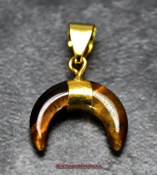 Hexenshop Dark Phönix Kleiner Tigerauge Mondanhänger Halbedelstein