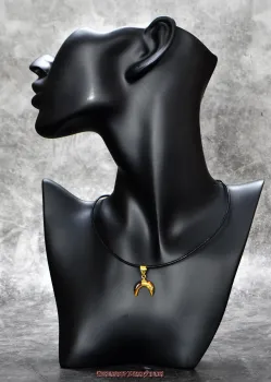 Hexenshop Dark Phönix Kleiner Tigerauge Mondanhänger Halbedelstein