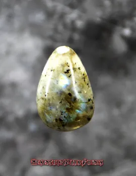 Hexenshop Dark Phönix Labradorit Drop Shape Anhänger