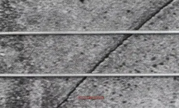 Preview: Hexenshop Dark Phönix Schlangenkette 1,2mm 925er Silber 55 cm