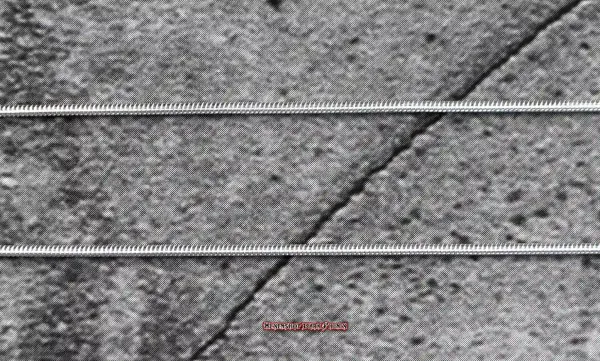 Hexenshop Dark Phönix Schlangenkette 1,2mm 925er Silber 55 cm