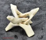 Hexenshop Dark Phönix Krobra Dreifuß Hell Holz Kugelständer 10cm